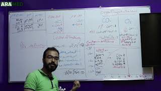 فزيولوجيا الجهاز التنفسي 3  النقل وتنظيم التنفس Respiratory Physiology 3 [upl. by Eahsat]