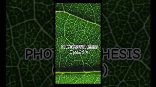 Photosynthesis🪴 biologyphotosynthesisbotanyindiaviraleducationncrtcinformationfacttrendit [upl. by Nirej]