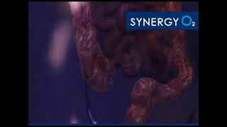 Beneficios del Oxigeno Liquido SynergyO2 [upl. by Trask]