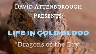 LIFE IN COLD BLOOD quotDragons of the Dryquot  Sir David Attenborough [upl. by Euqnom]