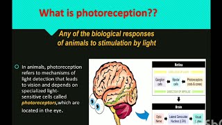 Photoreception  Chronobiology [upl. by Charmain]