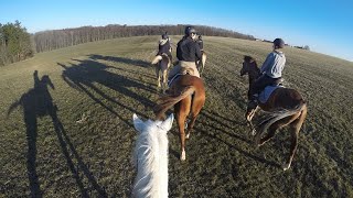 Reiterferien auf dem Ferienhof Schepper [upl. by Crichton242]