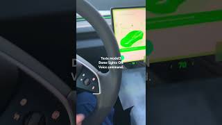 shorts Tesla model 3 Dome lights ON voice command tesla la [upl. by Kurtz]