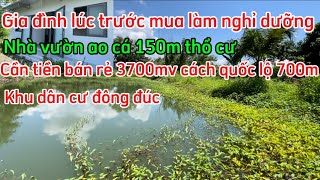 CĂN NHÀ VƯỜN AO CÁ 150m THỔ CƯ QUỐC LỘ 700m DÂN Ở KÍN CÁCH QUỐC LỘ 700m ĐƯỢC QUY HOẠCH ONT 1000mv [upl. by Ynaoj]