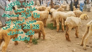 Dera ghazi khan goat market new update today  dera ghazi khan mundra mandi  sheep market [upl. by Ereveniug]