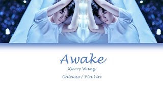 Karry Wang 王俊凯  Awake 醒着Lyrics 歌词 ChinesePin Yin [upl. by Sorips360]