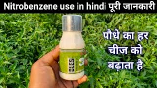 Nitrobenzene  पौधे की हर चीज को बढ़ाता है [upl. by Mendel]