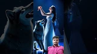 A woman fuses with a wolf on AGTagt americasgottalent magic [upl. by Anawad]