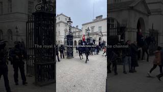 Majestic Standoff The Stubborn Stallions Silent Protestquot YoutubeShortsFeed [upl. by Anelleh]