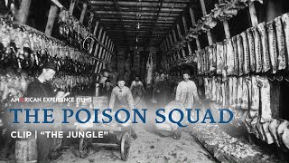 How quotThe Junglequot Changed American Food  The Poison Squad  American Experience  PBS [upl. by Maisel]