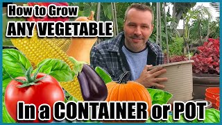 How to Grow Vegetables in Containers  Container Gardening  Self Sufficient Sunday [upl. by Akla]