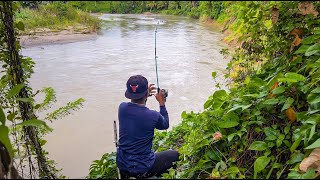 1 Hari iseng mancing disungai Strikee monster sampai gak bisa ditarik langsung dibakar KOOKIKO [upl. by Bartosch]