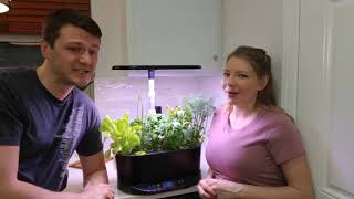 Aerogarden Bounty Update amp Review – Day 41 [upl. by Asin]