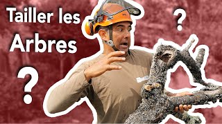 Élagage des Arbres   1 Les différents types de Taille [upl. by Baron]