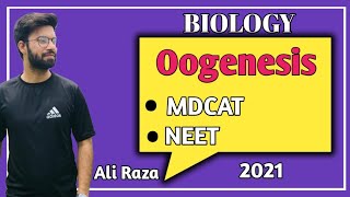 Oogenesis  NMDCAT 2021 [upl. by Ahsirkal408]