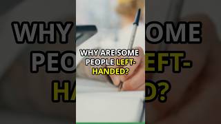 Why are some people lefthanded  ✋ interestingfacts scienceexplained MindCurioen [upl. by Giacobo]