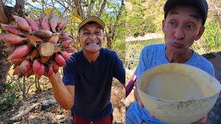 COMO HACER ATOL DE PIÑUELA LEVANTA MUERTO [upl. by Constance]