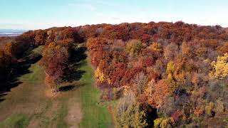 Hardack Recreation Area  Fall Foliage 2024 [upl. by Kaitlynn]