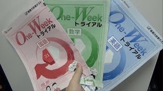 【明日学校】春休みの宿題を完全に忘れてた【母大激怒】 [upl. by Thomasina]