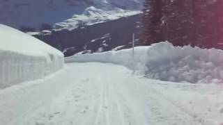 Schlitteln in Grindelwald Bussalp SnowRunCrash [upl. by Sofko346]