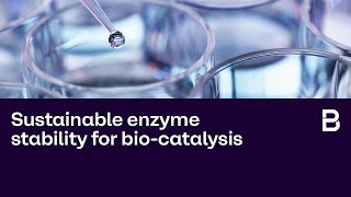 Brenntag Pharma  Tailormade service that creates sustainable enzyme stability for biocatalysis [upl. by Ttebroc]