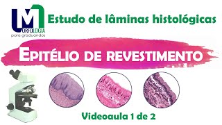 Epitélio de revestimento  Estudo de lâminas histológicas VIDEOAULA 0102 [upl. by Crutcher552]