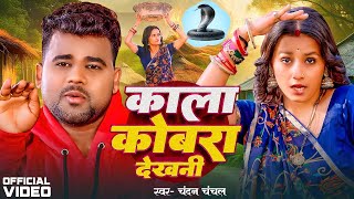 Video  Chandan Chanchal  काला कोबरा देखनी  Kala Cobra  Soumya Pandey  New Bhojpuri Song 2024 [upl. by Alarice]