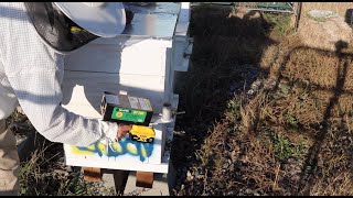 Colorado Backyard Hives Update Battery Oxalic Acid Vaporizer Review [upl. by Anaugahs]