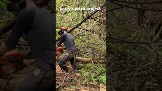 trailbuilding trails outdoors woodworking arborist dirt dtft camping [upl. by Dianemarie40]