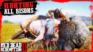 RDR2 Hunting and skinning ALL BISON spicies  Legendary White and Tatanka Bison American Bison🤠 [upl. by Lemuelah]