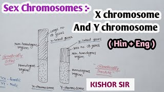 Sex chromosomes  X chromosome  Y chromosome  Structure  Function  Genetics  By Kishor zagare [upl. by Athiste626]