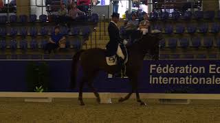 The Sydney CDI 2018  Matthew Dowsley and AEA Prestige 3rd in the Otto Sport Australia FEI GP CDI 3 [upl. by Arabrab]