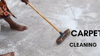 DIY Carpet Cleaning Without a Machine in 2023 [upl. by Gladstone]