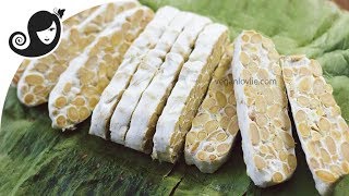 How to Make Tempeh Homemade  Easy Method [upl. by Tabbie730]