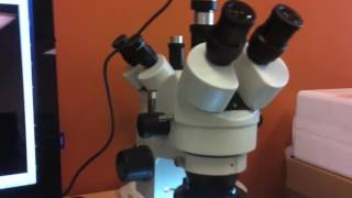 Microscope Expert  Opening Trinocular Port on Stereo Microscope for Microscope Camera [upl. by Drofnil]