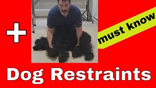 Dog Restraints You Should Know [upl. by Lincoln]