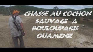 Chasse au cochon sauvage Nouvelle CalédonieBouloupari Ouaménie [upl. by Lazor]