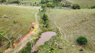 sitio 21 hectares escritura em Tamandaré PE sercado casa sede porteira fechada 11 bois 800 mil [upl. by Rentschler]