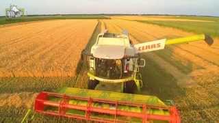 Claas Lexion 630 loonbedrijf Kuper BV uit Klazienaveen Trekkerweb [upl. by Nidroj]