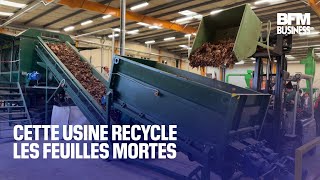 Cette usine recycle les feuilles mortes [upl. by Marih]