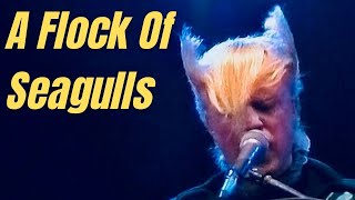 A Flock of Seagulls  Live Concert 1982 HD [upl. by Nodnorb]