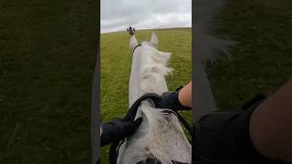 Galloping on Dartmoor 🤩 horses [upl. by Kashden]