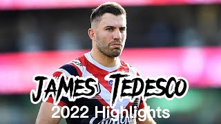 James Tedesco 2022 Season Highlights [upl. by Thaine]