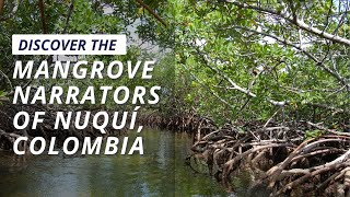 Discover The Mangrove Narrators of Nuquí Chocó Colombia [upl. by Wolfort]