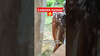 agoooy utang pa viralvideo funny [upl. by Aened]