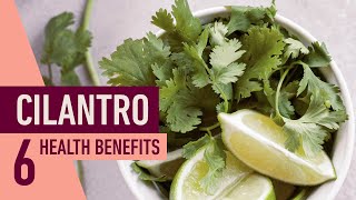 CILANTRO Health Benefits  Top 6 Reasons to Eat CILANTRO [upl. by Eiduam922]