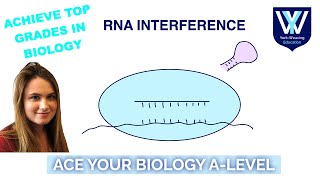 RNA interference  ALevel Biology Revision Masterclass  AQA OCR Edexcel WJEC [upl. by Hairom]