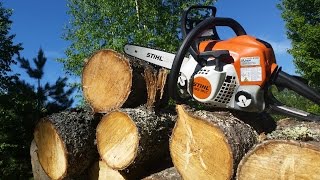 Stihl MS 181  Best Starting Chainsaw for the Modern Homesteader [upl. by Lucania]