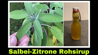 Salbeisirup Rezept  Rohsirup aus Kräutern  Selbstversorgung Sirup aus Salbei [upl. by Lalita]