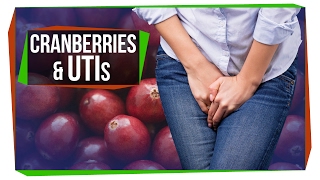 The Truth About Cranberry and UTIs [upl. by Noevad]